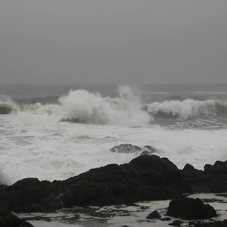 Shorehead Guest House-2